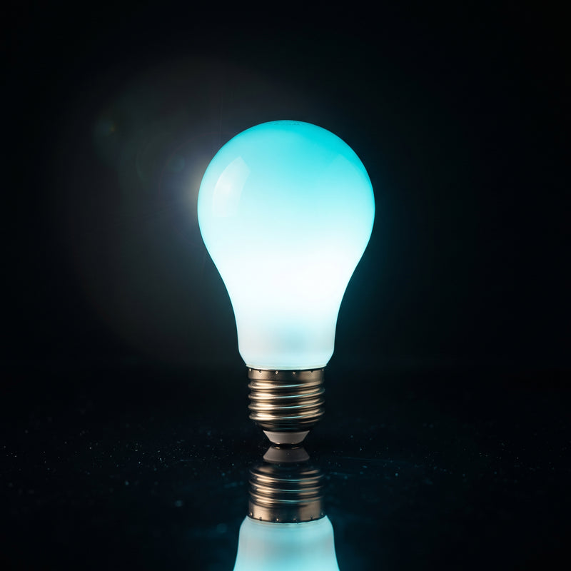 Techromagnon — Smart LED bulbs and wall dimmer switches