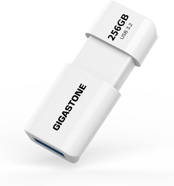 GIGASTONE 256GB Flash Drive, Z60 USB 3.2 Gen 1, 120MB/s Ultra Fast, Retractable Capless Slider Design, Data Storage, Backup for PC/Mac/TV/Car Audio, USB 2.0/3.0/3.1 Compatible