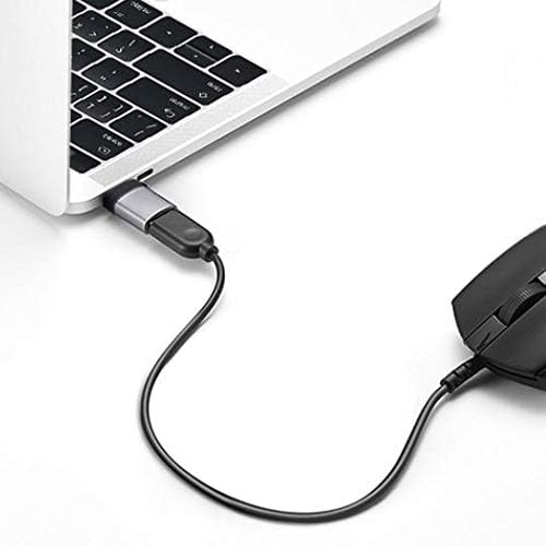 BoxWave Cable Compatible with INNOCN 4K Mini LED Monitor 27M2V (27") - USB-C to A PortChanger (2-Pack), USB Type-C OTG USB Portable Keychain - Slate Black