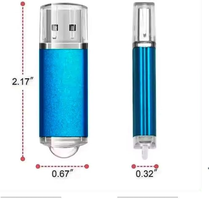 Generic Dual-Pack 256GB USB Flash Drives - High-Speed Data Transfer, Colorful & Reliable Storage for Photos, Videos, Music(2 Pack Plastic USB Blue, 256GB)