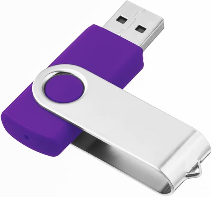 1GB USB Flash Drive 1PCS, EASTBULL USB 2.0 Thumb Drive Swivel USB Stick Memory Stick Metal Thumb Drives (Purple)
