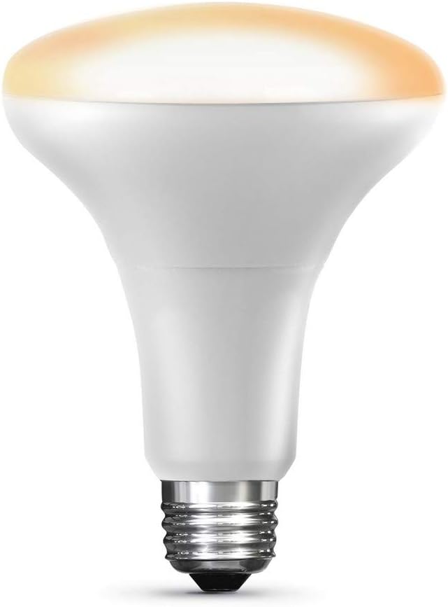 Feit Electric BR30/SW/HK 65W Equivalent BR30 Flood Smart, Works with Apple HomeKit and Siri Voice Control, No Hub Required LED Light Bulb, 5.4" H x 3.8" D, 2700K Soft White