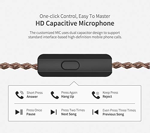 KZ ZS10 Pro in Ear Monitor, 4BA+1DD Hybrid Driver IEM Earphones, HiFi Gaming Earbuds with Stainless Steel Faceplate, in Ear Headphone for Musician Audiophile (with Mic, Black)