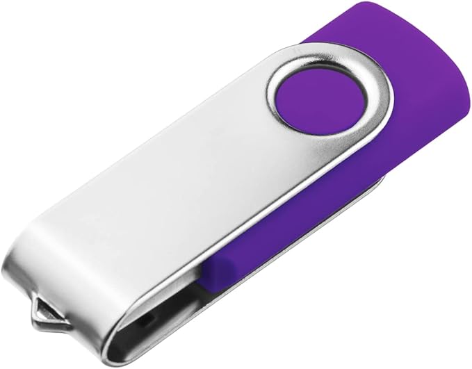 1GB USB Flash Drive 1PCS, EASTBULL USB 2.0 Thumb Drive Swivel USB Stick Memory Stick Metal Thumb Drives (Purple)