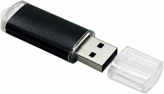 Generic 2-Pack 256GB USB Flash Drive| Ultra-Fast | Plug & Play | for Students, Professionals, Content Creators(2 Pack Plastic USB Black, 256GB)