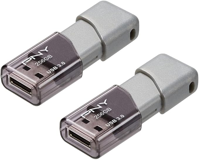 PNY P-FD256X2TBOP-MP 256GB Turbo Attaché 3 USB 3.0 Flash Drive,Silver (Pack of 2)