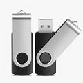 Generic 256GB 2-Pack, High-Speed USB Flash Drive - Bundle for Extra Storage Value, Compatible with Phones, Tablets, Laptops(2 Pack Swivel USB Black, 256GB)