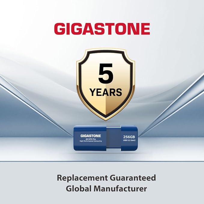 GIGASTONE Z80 256GB high Speed 1000MB/s, USB 3.2 Gen2 Solid State Drive, Capless Retractable Design Pen Drive, Carbon Fiber Style, Reliable & Durable, USB 2.0 / USB 3.0 / USB 3.1 Interface Compatible