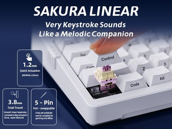 ZORNHER ZH980 Mechanical Keyboard Wireless,95% White Creamy Keyboard with Number Pad,Gaming Keyboard with Number Pad,Shine Through Spider Web PC Keycaps,Creamy Sounding Linear Switches,Full Size