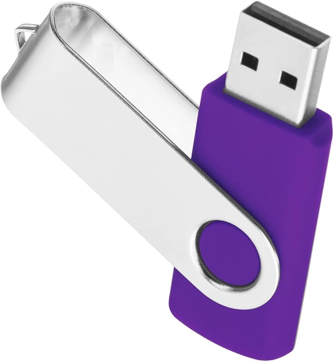 1GB USB Flash Drive 1PCS, EASTBULL USB 2.0 Thumb Drive Swivel USB Stick Memory Stick Metal Thumb Drives (Purple)