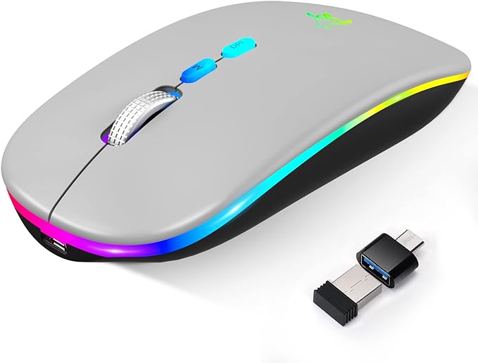 HOTLIFE LED Wireless Mouse, Slim Rechargeable Bluetooth Mouse, 2.4G Portable USB Optical Wireless Computer Mice with USB Receiver and Type C Adapter (Grey)