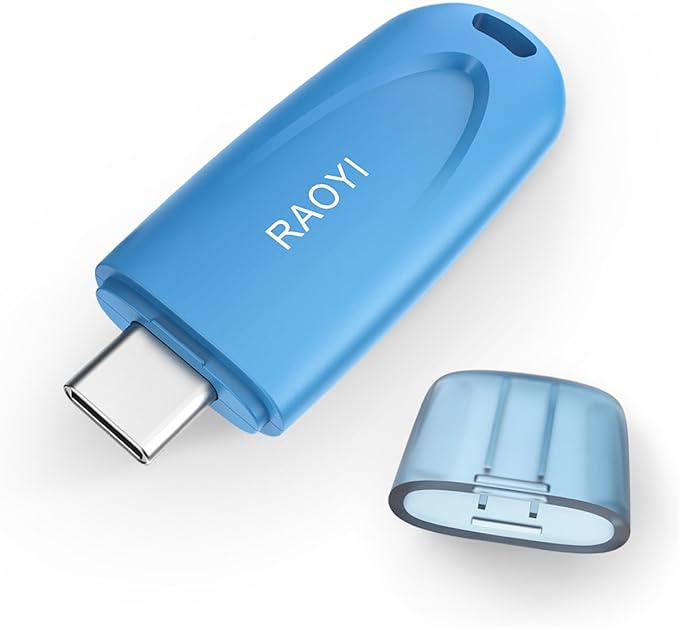 RAOYI 64GB Type-C Flash Drive USB 3.0 USB C Flash Drive Type C Thumb Drive Portable Memory Stick with Keyring Hole High-Speed Pen Drive for Laptop Smartphone Tablet Mac USB-C Devices, Blue