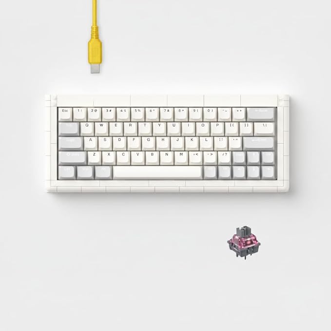 KBDcraft 01Adam 60% Mechanical Keyboard, 64-Key ANSI, Lego-Compatible Case, Gasket Mount, Hot-swappable, Wired, Linear Switch, RGB, QMK, Vial for Win/Mac, Full Kit (White)