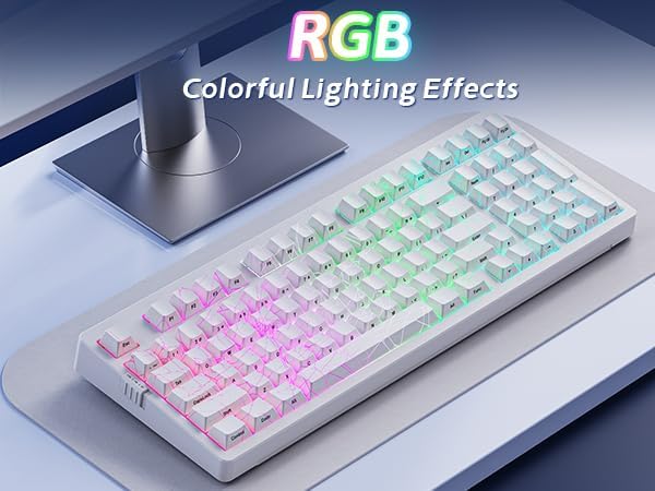 ZORNHER ZH980 Mechanical Keyboard Wireless,95% White Creamy Keyboard with Number Pad,Gaming Keyboard with Number Pad,Shine Through Spider Web PC Keycaps,Creamy Sounding Linear Switches,Full Size
