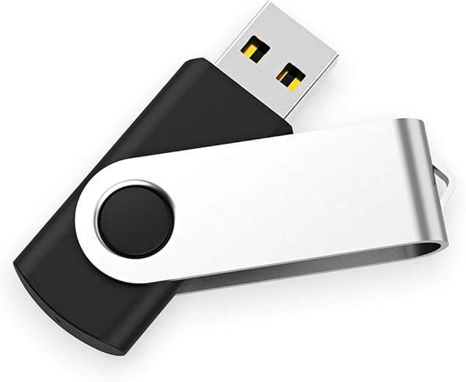 Maspen 10 Pack 2GB Bulk USB 2.0 Flash Drives Memory Stick Thumb Drives Pen Drive Zip Drive, Black,2 GB