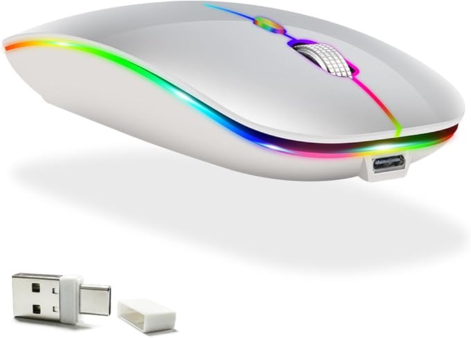 KLO Rechargeable Bluetooth 5.2/3.0/Type-C/USB-2.4G Mouse for MacBook/MacBook air/Pro/iPad, Wireless Mouse for Laptop/Notebook/pc/iPad/Chromebook (2/Silver)