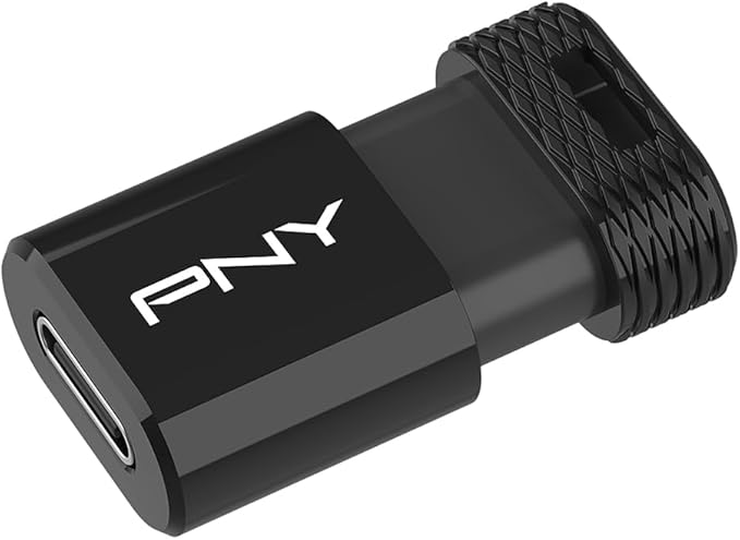 PNY Elite-X Fit Type-C 256GB USB 3.2 Flash Drive – Up to 200MB/s Read, Up to 100MB/s Write, Advanced Performance, Convenient Portable Data Storage, Ultra Compact Fit Design, Type-C Connector