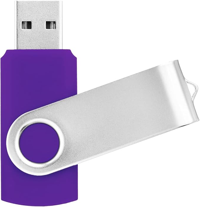 1GB USB Flash Drive 1PCS, EASTBULL USB 2.0 Thumb Drive Swivel USB Stick Memory Stick Metal Thumb Drives (Purple)