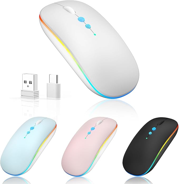 Halpilt LED Wireless Mouse A100S Rechargeable Portable Silent Mouse with Optional USB and Type-C Receiver 3-Speed Adjustable DPI for PC/Mac/Laptop (Frosted Silver)