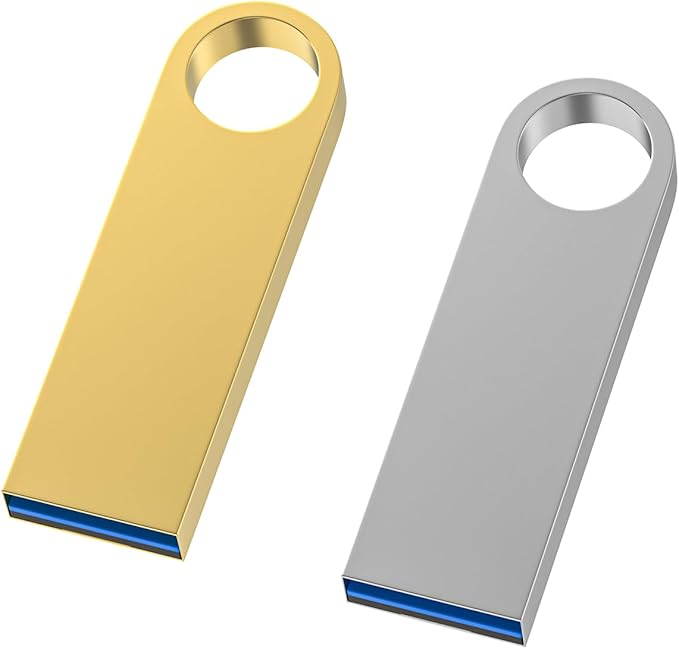 USB 3.0 Flash Drive 128GB 2 Pack, Wooolken High Speed USB 3.0 Thumb Drives Sleek Metal Flash Drives with Keychains, Memory Stick, USB Drive for PC/Computers/Mac/Laptops
