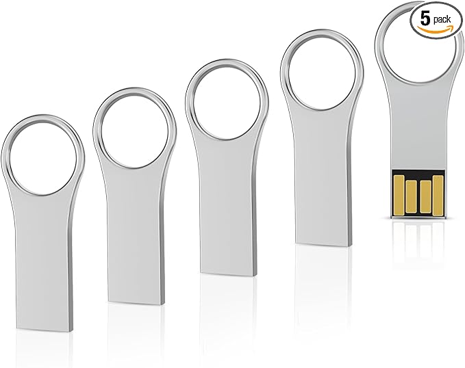 RAOYI 5 Pack 32GB Metal Key Shape USB Flash Drive, USB 2.0 Memory Stick Thumb Drives Jump Drive for PC Laptop Desktop Computer-Silver