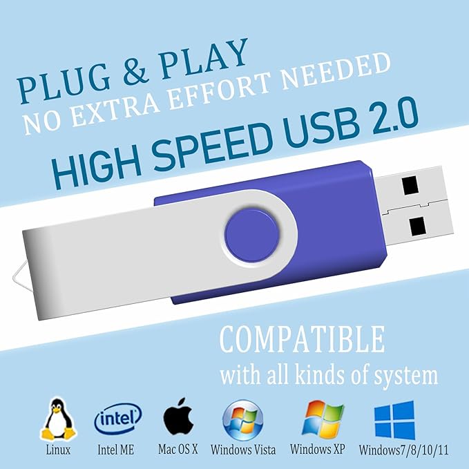 2GB USB Flash Drive 10 Pack JBOS 2 GB USB Drives Memory Stick Swivel 2G Thumb Drives Gig Stick USB2.0 Pen Drive for Date Storage, 2 Gig UBS Flash Drive, Zip Drive, Jump Drive, USB Stick, Mixed Color