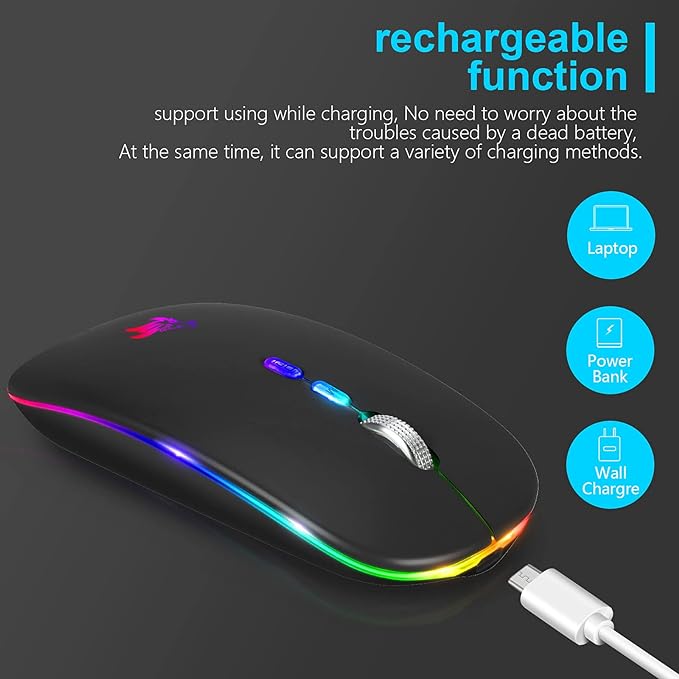 HOTLIFE LED Wireless Mouse, Slim Rechargeable Silent Portable USB Optical 2.4G Wireless Bluetooth Two Mode Computer Mice with USB Receiver and Type C Adapter (Black)