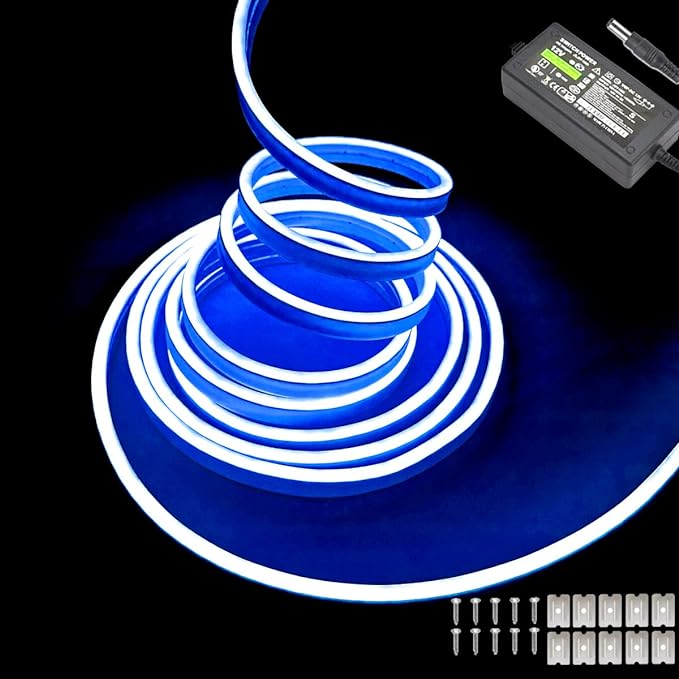 Blue Neon LED Strip Lights, 16.4ft 12V Waterproof Flexible Light for Indoor/Outdoor Decoration (Includes Power Adapter)