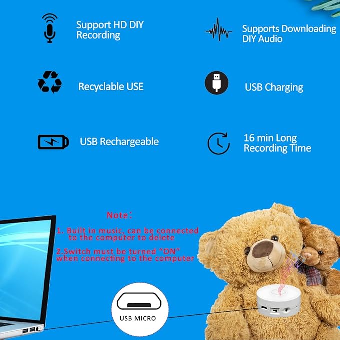16 Minutes Voice Recorder, Record Custom Message for Crafts, Stuffed Bear, Baby Doll, and Pillow (2Pack + White)