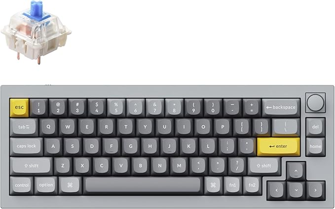Keychron Q2 Wired 65% Mechanical Keyboard with Knob & RGB - Hot-Swappable Gateron G Pro Blue Switch, QMK/VIA Programmable, Double Gasket Mount, Aluminum Body for Mac/Windows/Linux (Grey)