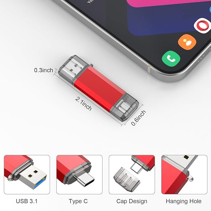 RAOYI 128GB USB C Flash Drive Upgraded 130MB/s, 2 in 1 USB 3.1 Type C Dual OTG Metal Thumb Drive Memory Stick with Keychain Suitable for USB-C Smartphones, PC, Macbooks and Tablets (Red)