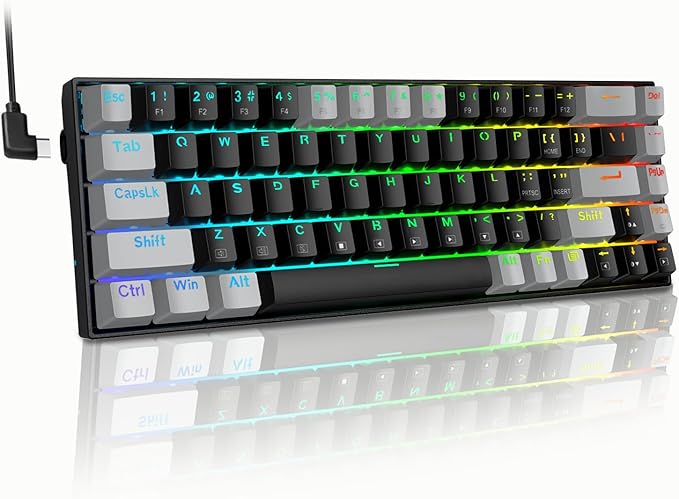 XUANGUI Full RGB Backlit Mechanical Keyboard Clicky Wired Computer Key Board, 65% Cute PC Gaming Keyboards Hot Swappable Rainbow Colorful Light Up Leyboard for Typist and Gamer, Work with Mac PS5 Xbox
