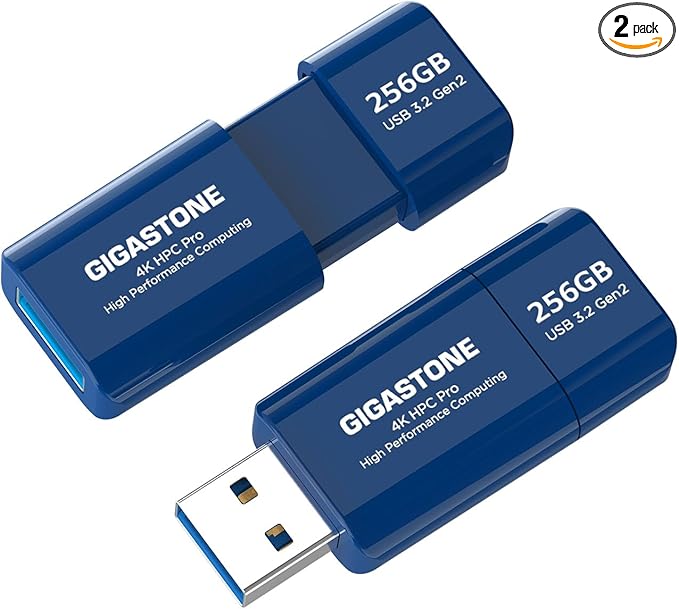 GIGASTONE Z80 256GB 2Pk USB 3.2 Gen2 Solid State Drive, High Speed 1000MB/s, Capless Retractable Design Pen Drive, Carbon Fiber Style, Reliable & Durable, USB 2.0/3.0/3.1 Compatible