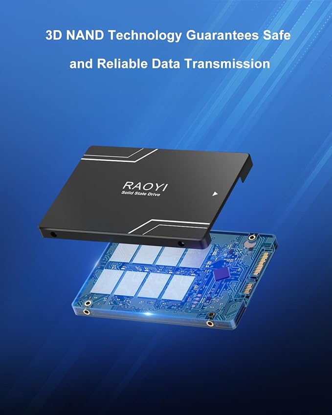 RAOYI 64GB Internal SSD SATA III 2.5” Solid State Drive 3D NAND Flash Advanced SSD Hard Drive Up to 300MB/s SATA 3 SSD Upgrade Performance for PC Laptop