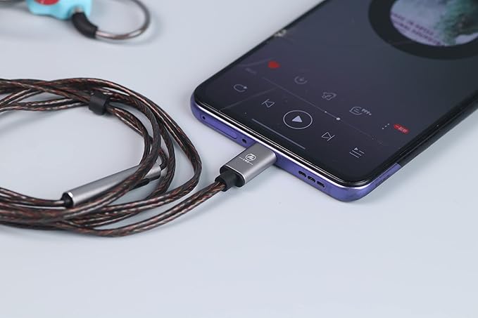 Linsoul 7Hz Salnotes Zero HiFi 10mm Dynamic Driver in-Ear Earphone IEM with Metal Composite Diaphragm Stainless Steel Faceplate Detachable 2Pin OFC Cable (Blue, with Mic, Type C)