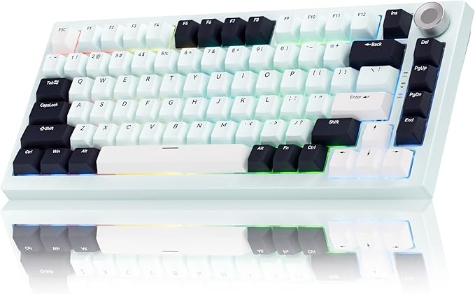 Gurjot Wireless Mechanical Keyboard,75% Hot Swappable Keyboard with Knob,8000mAH Battery RGB Backlit,Side Printed PBT Keycaps,2.4GHz/USB-C/BT5.0 Mechanical Gaming Keyboards,Iceland Blue