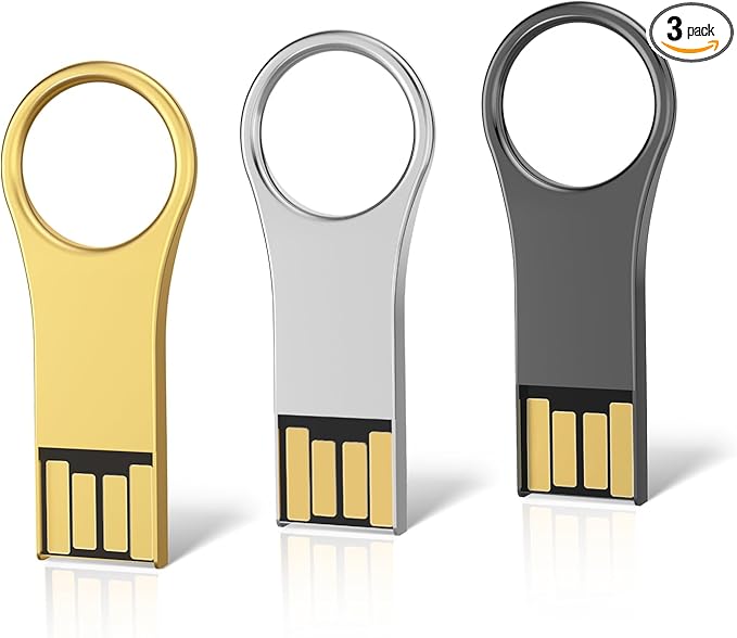 RAOYI 3 Pack 32GB Metal Key Shape USB Flash Drive, USB 2.0 Memory Stick Thumb Drives Jump Drive (Black/Silver/Gold, 3 Mixed Colors)