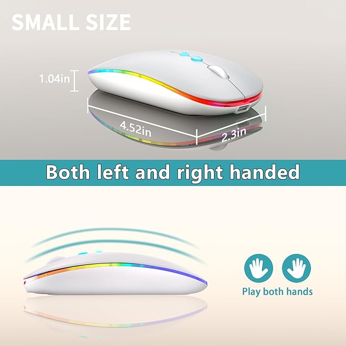 Halpilt LED Wireless Mouse A100S Rechargeable Portable Silent Mouse with Optional USB and Type-C Receiver 3-Speed Adjustable DPI for PC/Mac/Laptop (Frosted Silver)