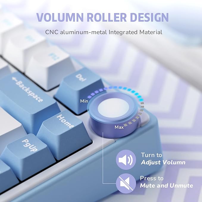 RK ROYAL KLUDGE R75 Mechanical Keyboard Wired with Volume Knob, 75% Custom Gaming Keyboard Gasket Mount RGB Backlit with Software, Cherry Profile, Hot Swappable Silver Switch, PBT Keycaps