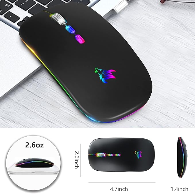HOTLIFE LED Wireless Mouse, Slim Rechargeable Silent Portable USB Optical 2.4G Wireless Bluetooth Two Mode Computer Mice with USB Receiver and Type C Adapter (Black)