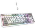 HUO JI Z-99 Wired Mechanical Keyboard, Creamy Sound, Hot Swappable Pre-lubed Linear Switches, Gasket Structure with Sound Dampening Foam, RGB Backlit, 99 Keys Custom Gaming Keyboard for PC/Mac,Gray