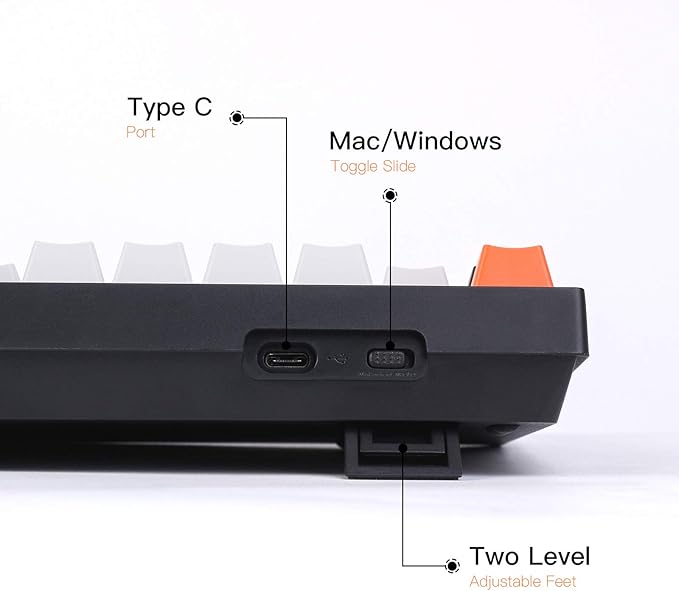 Keychron C2 Full Size Wired Mechanical Keyboard for Mac, Hot-swappable, Gateron G Pro Brown Switch, RGB Backlight, 104 Keys ABS keycaps Gaming Keyboard for Windows, USB-C Type-C Braid Cable