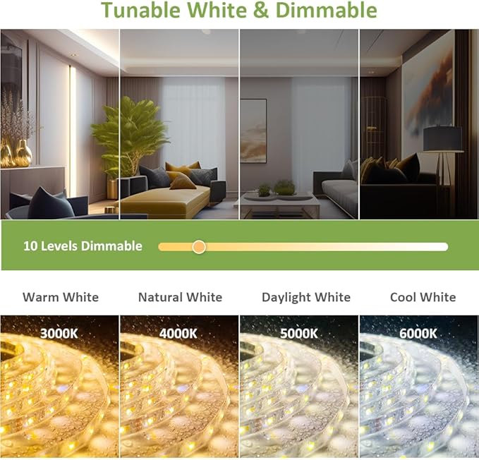NOVOSTELLA 40ft Waterproof Tunable White LED Strip Lights, Dimmable Flexible Rope Light 3000K-6500K 12V Tape Light with Remote, Ribbon for Outdoor and Indoor Bedroom Home Mirror Kitchen Cabinet