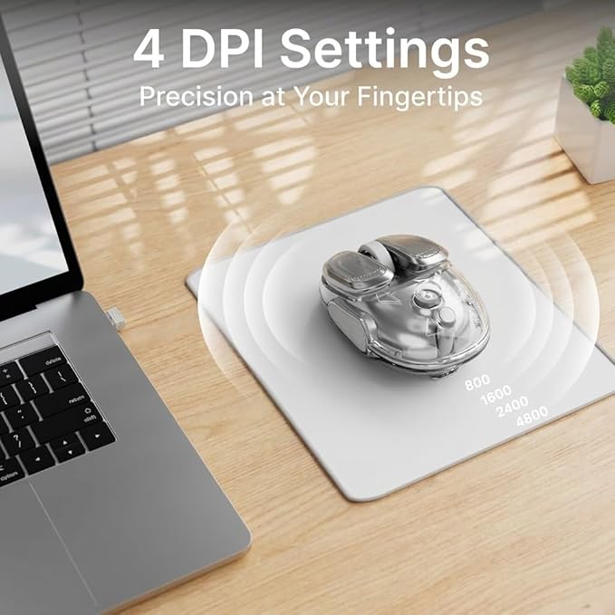 SEUNKWANG EWEADN Q9 Wireless Clear Mouse Dual Mode Bluetooth & 2.4G USB Computer Mouse with RGB Lighting, Silent Clicks, Multi-Device Compatibility for Laptop, PC, MacBook, iPad Cute Mouse-Sliver