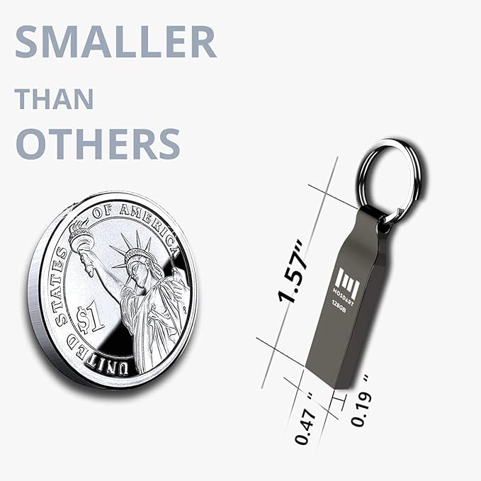 MOSDART Waterproof 128GB USB2.0 Flash Drive, exFAT Metal Memory Stick with Keychain, for System Back, Data Storage, Titan Gray(Pack of 2)
