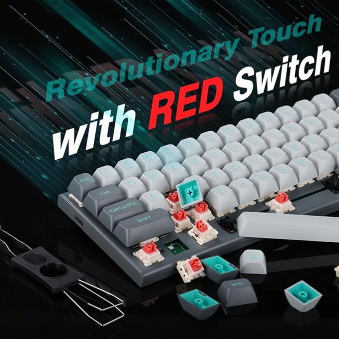 E-YOOSO Hz-61 60% RGB Mechanical Gaming Keyboard Wired, Magnetic Switch, PBT Keycaps, Hot Swappable Mechanical Keyboard Compact Desigh for PC/Mac