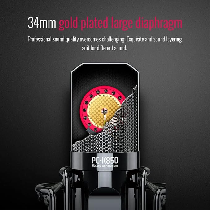 TAKSTAR XLR Condenser Microphone with 34mm Gold-Plated Large Diaphragm, High Sensitivity Cardioid Studio Mic for Recording, Podcasting, Streaming, Voice Overs, Singing, Gaming (PC-K850)