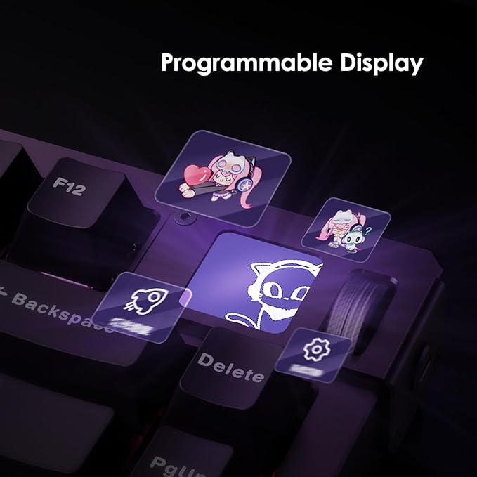 Akko MOD007 V5 HE Wired Rapid Trigger Gaming Keyboard Quick Release Aluminum Wired Keyboard with Personalized Screen FR4 Plate Purple, AstroAim Switch