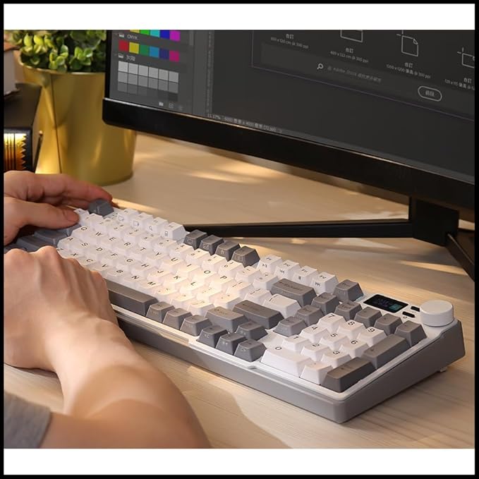 iRocks K85R Wireless RGB Backlit Mechanical Gaming Keyboard with LCD Display, Hot-Swappable Pre-lubed Brown Switches, 98 PBT Keys, USB-C Detachable Cable (ICY White, Bubble Switch)