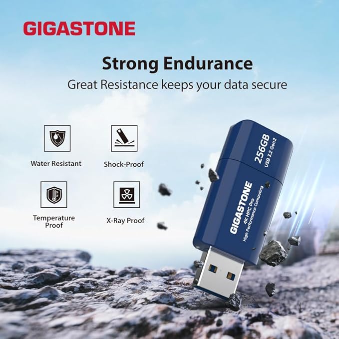 GIGASTONE Z80 256GB 2Pk USB 3.2 Gen2 Solid State Drive, High Speed 1000MB/s, Capless Retractable Design Pen Drive, Carbon Fiber Style, Reliable & Durable, USB 2.0/3.0/3.1 Compatible